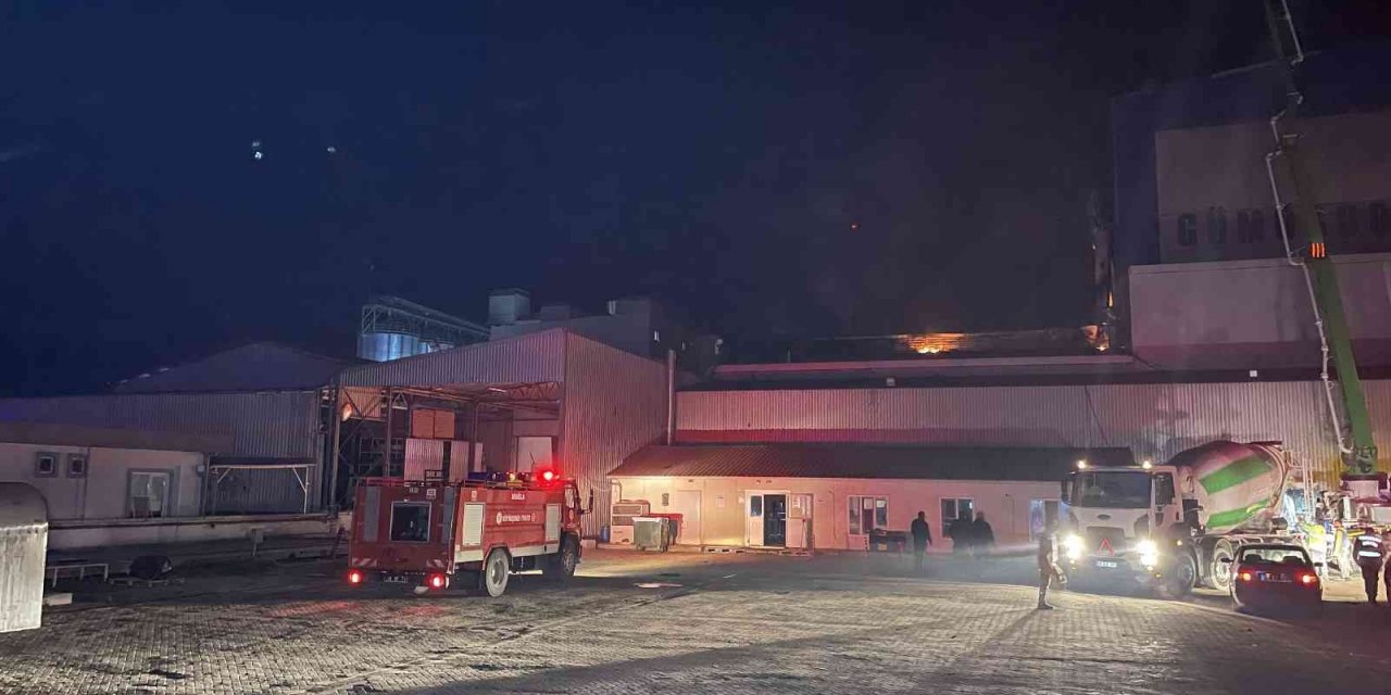 Balık yemi fabrikasındaki yangın kontrol altına alındı