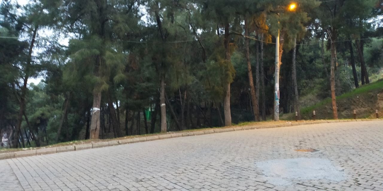 Aytepe Varyantı kötü görüntüden arındırıldı