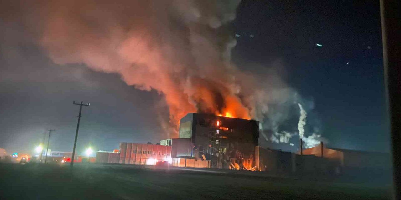 Balık yem fabrikasındaki yangına ormancılar da müdahale etti