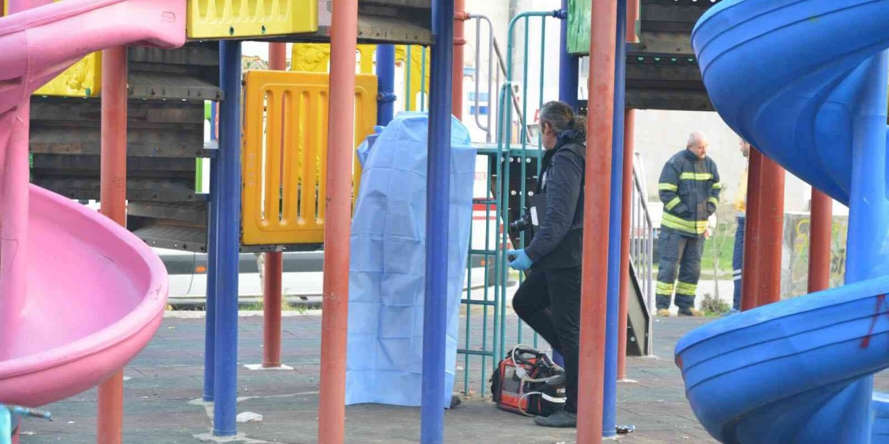 Çocuk parkında korkunç olay