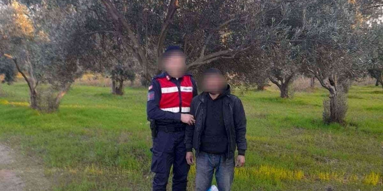 Zeytin hırsızı suçüstü yakalandı