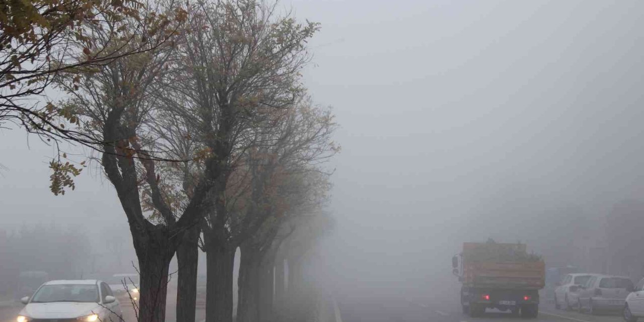 Manisa’da yoğun sis etkili oldu