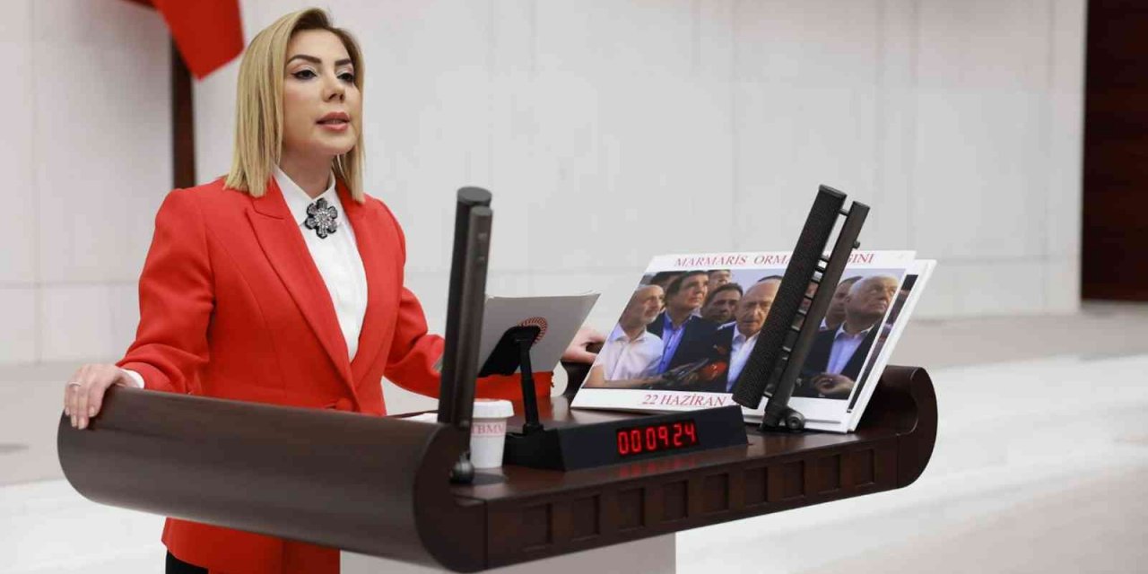 Ak Parti Muğla Milletvekili Gökcan’dan yeni yıl mesajı