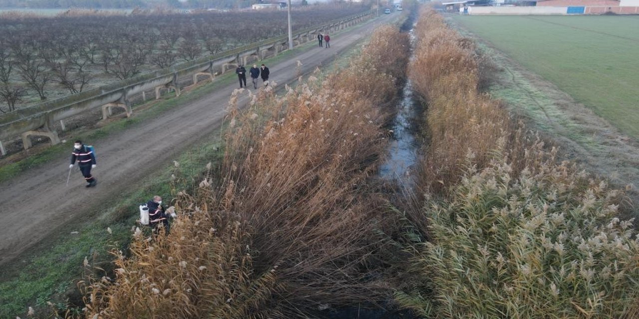 Nazilli Belediyesi’nden larva ile 365 gün mücadele