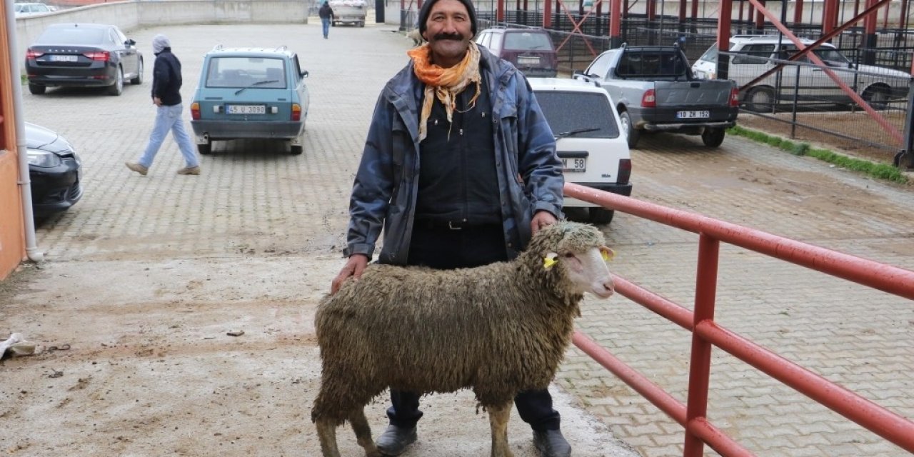 Manisa Büyükşehir Belediyesinden üreticiye damızlık koç ve teke desteği