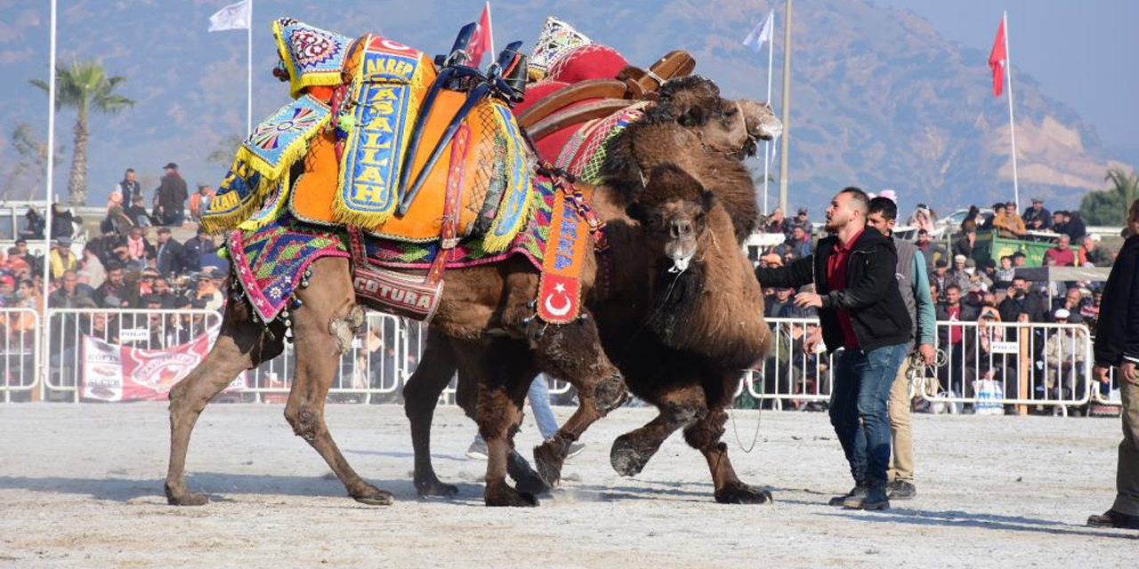 Aydın’da yılın ilk güreşi sessiz yapıldı