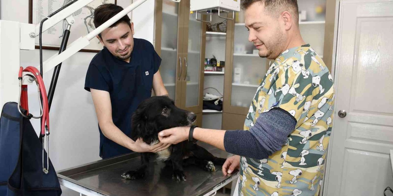 Fizik tedavi sonrası yürüteçle yürümeye başlayan Karam, sıcak yuvasına kavuştu