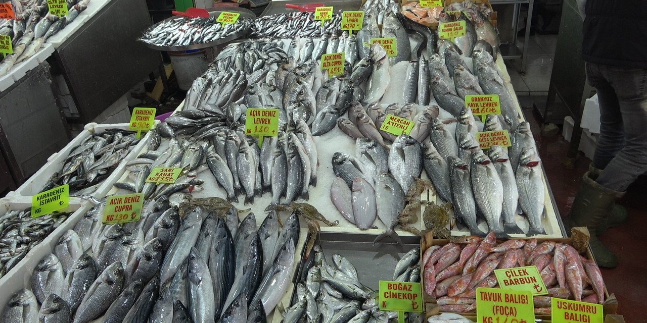 Balık tezgahları çinekop ile şenlendi