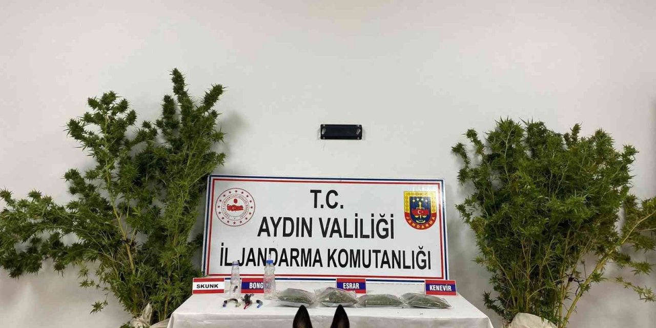 Aydın’da Jandarmanın kaçakçılık operasyonlarının bilançosu açıklandı