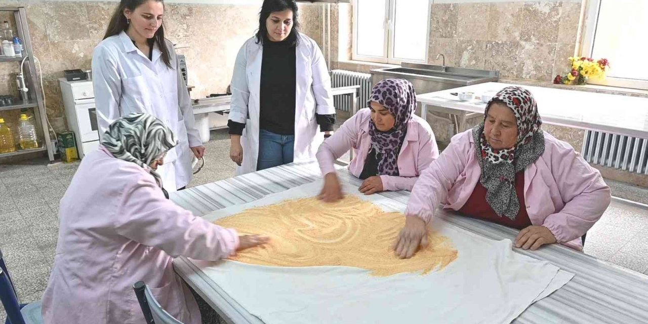 Denizli’de 267 bin kişi Hayat Boyu Öğrenme kurslarından faydalandı