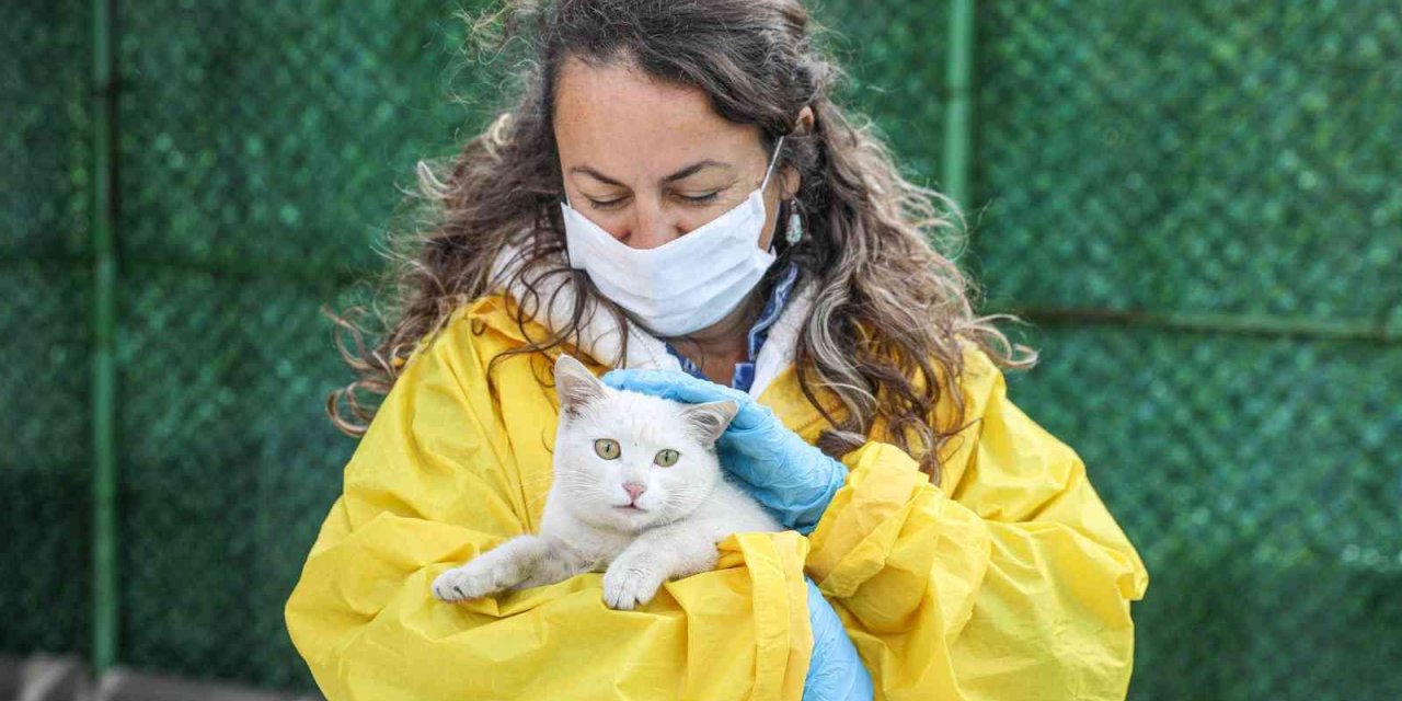 Buca Belediyesi, bir yılda 12 bin can dostuna kucak açtı