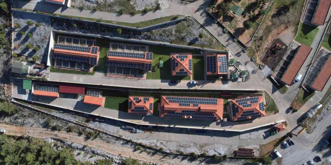 Geçici hayvan bakımevinin enerjisi güneşten
