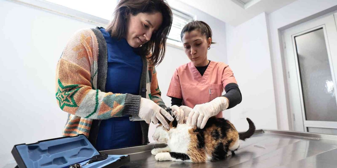 Denizli’de can dostlar çok mutlu