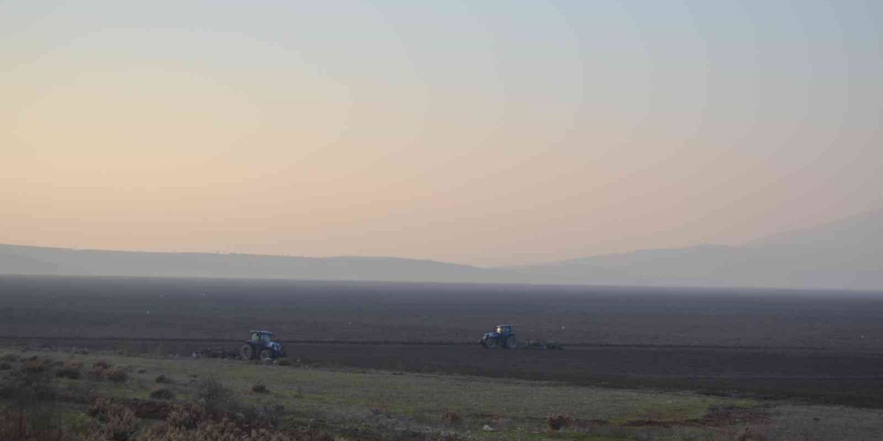 TİGEM, Marmara Gölü’nde buğday ve ayçiçeği yetiştirecek