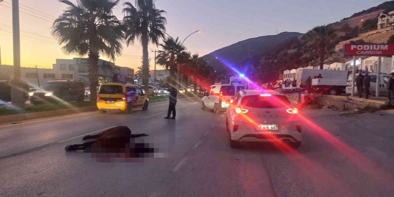 Otomobil aniden yola çıkan ata çarptı: 2 yaralı