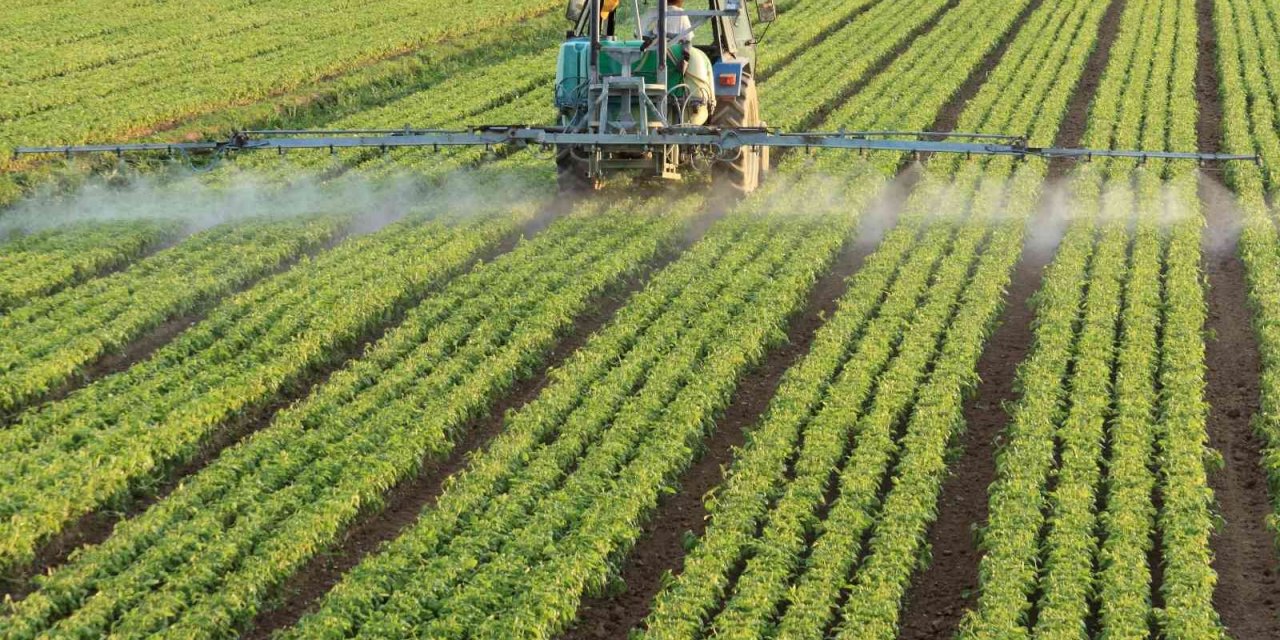 Ege’de tarım ihracatı 7 milyar dolara koşuyor