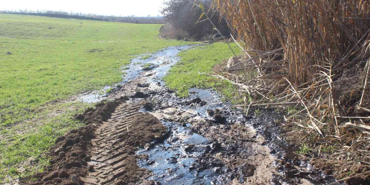 Manisalı çiftçi su ararken petrol buldu
