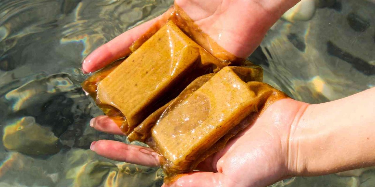 Şifa deposu enginar ‘ambalaj’ sektörüne ilham oldu