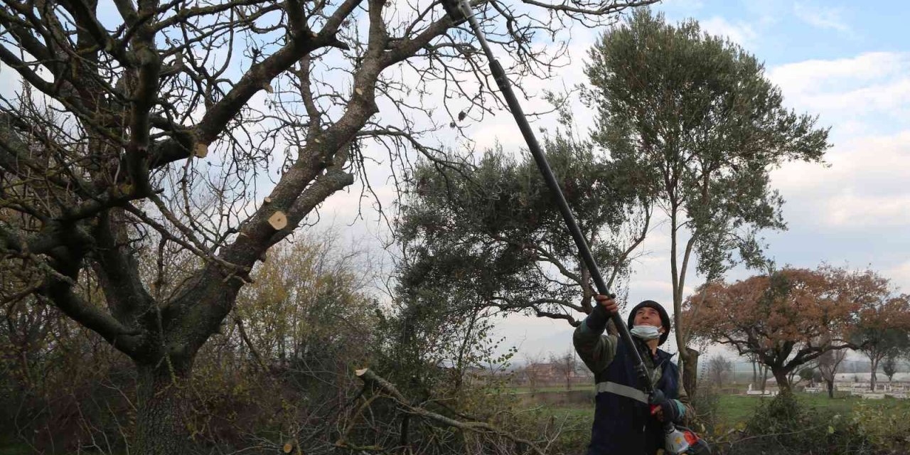 Efeler’in mezarlıklarında budama mesaisi başladı