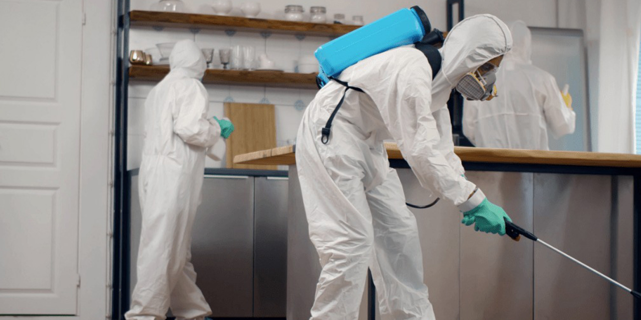 İstanbul Ofis İlaçlama