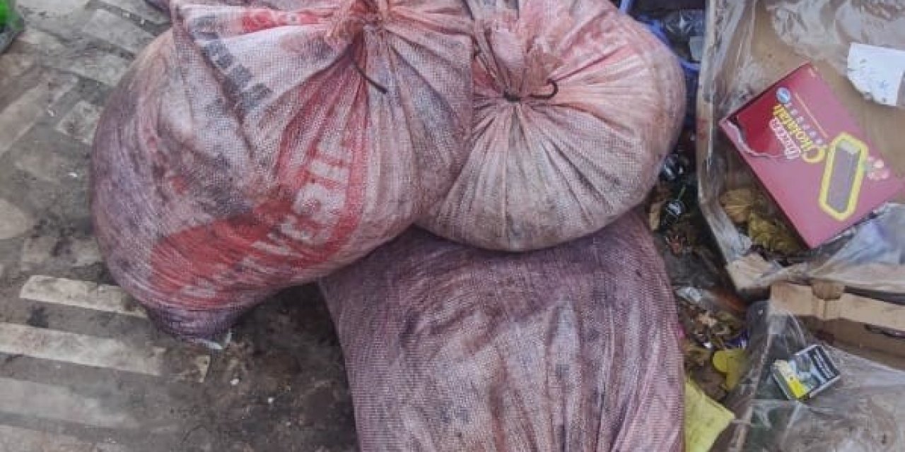 Zeytin hırsızları suçüstü yakalandı