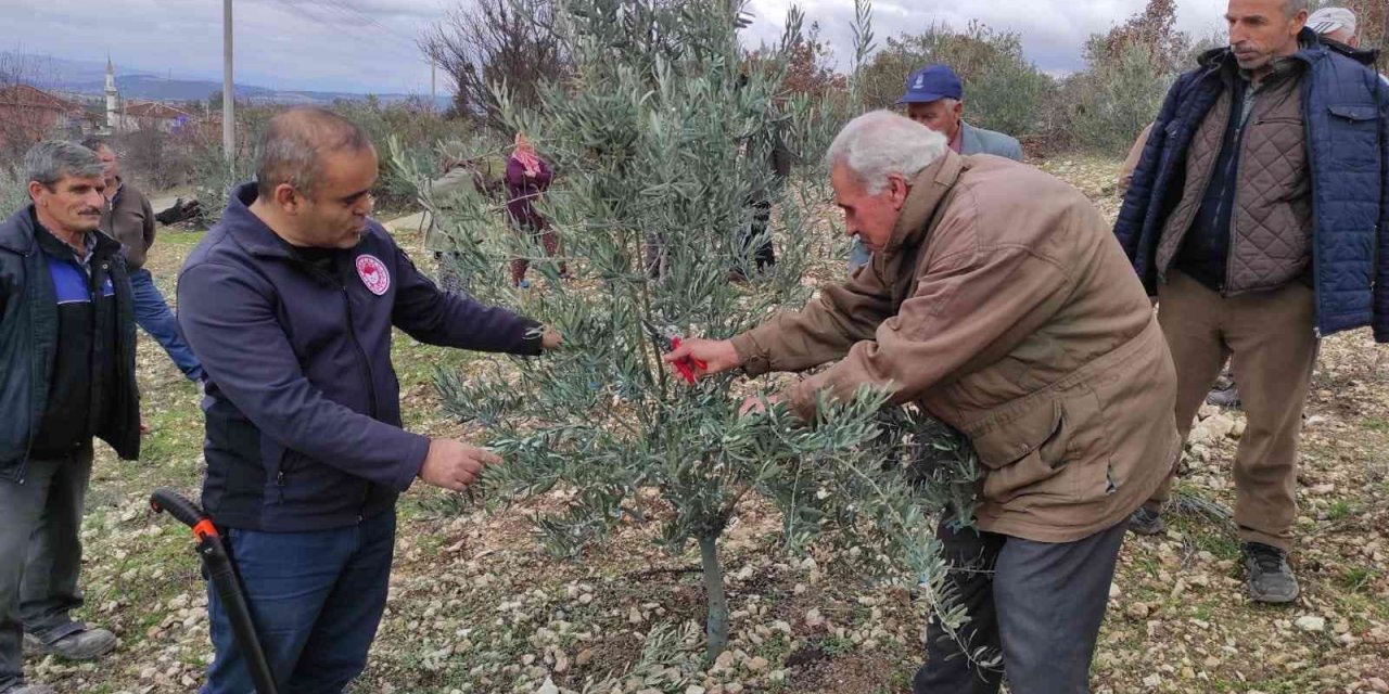Kurum müdürü vatandaşlara ağaç budamasını öğretiyor