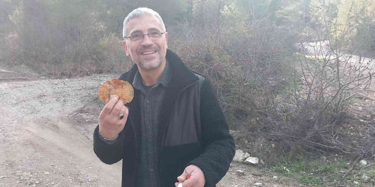 Muğla’da vatandaşlar hafta sonunu dağlarda çıntar mantarı toplayarak geçirdi