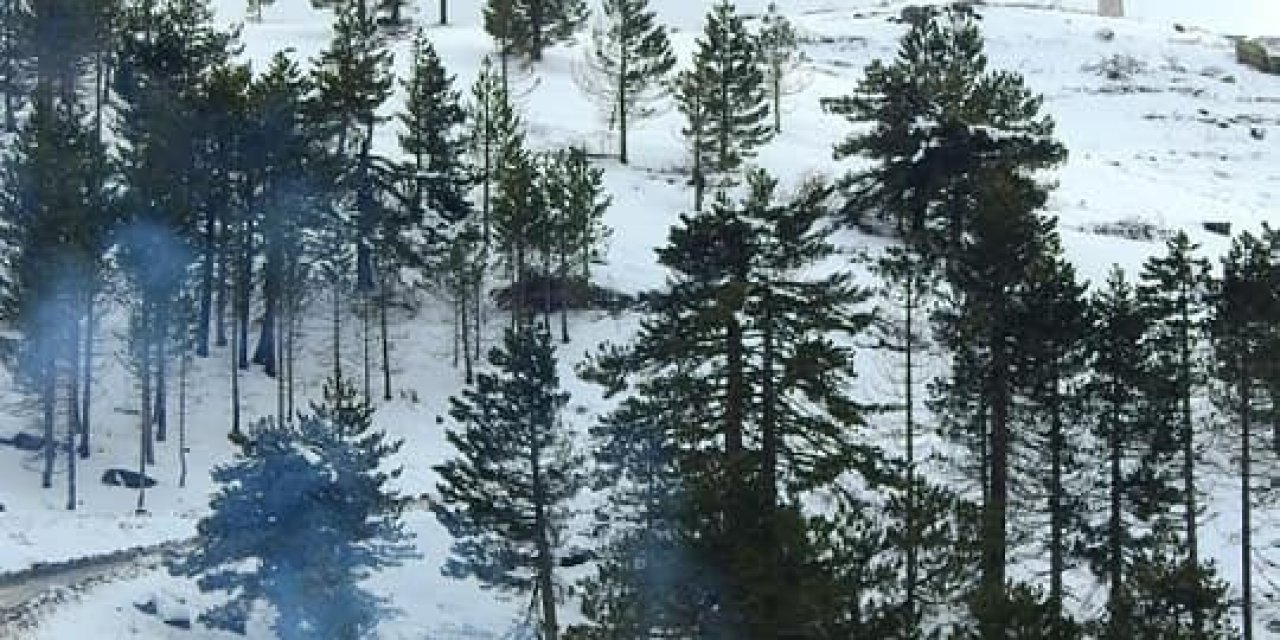 Muğlalı vatandaşların kar keyfi