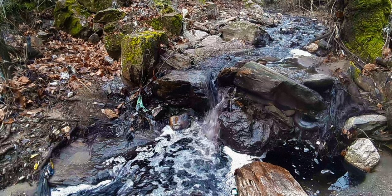 "Aydın’ın dağlarından yağ, derelerinden kara sular akmaya başladı"