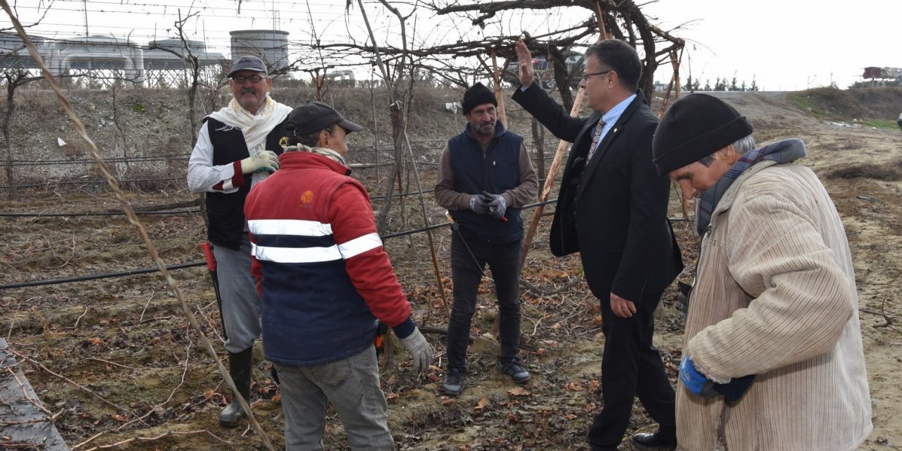 Başkan Öküzcüoğlu’ndan üzüm işçilerine bere hediyesi