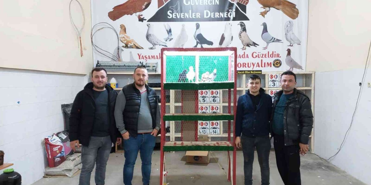 Kula’da ’Güvercin Sevenler Derneği’ kuruldu