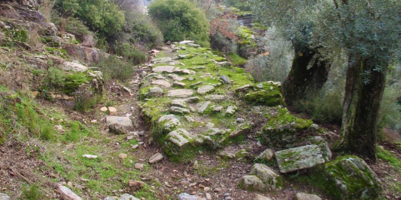 Bilinçsizce açılan zeytin yolları, Aydın tarihinin izlerini yok ediyor