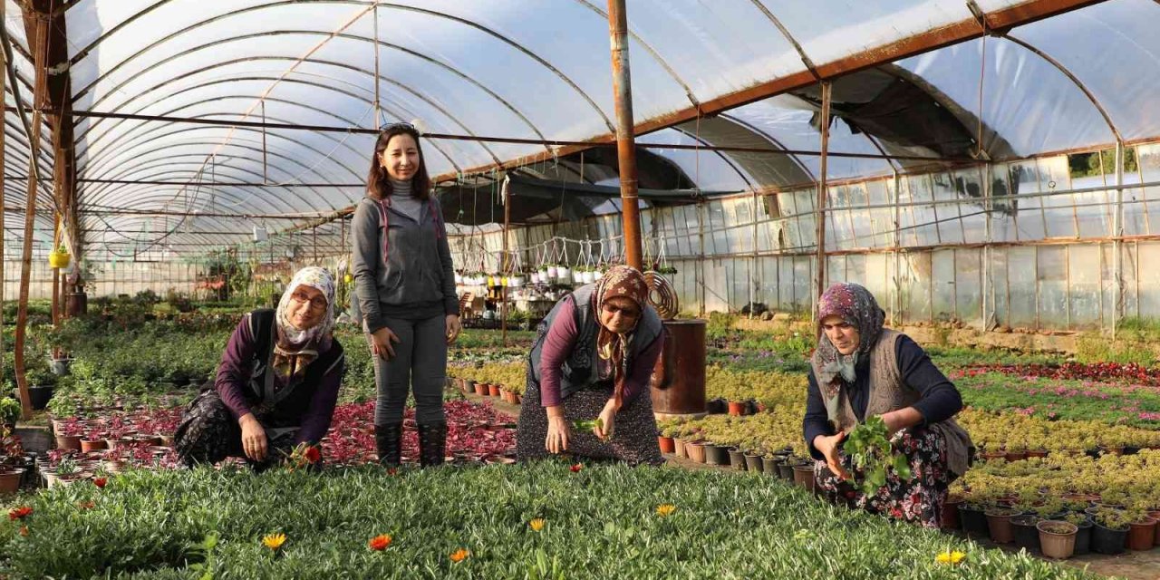 2022 yılında 1 Milyon 250 bin çiçek üretildi