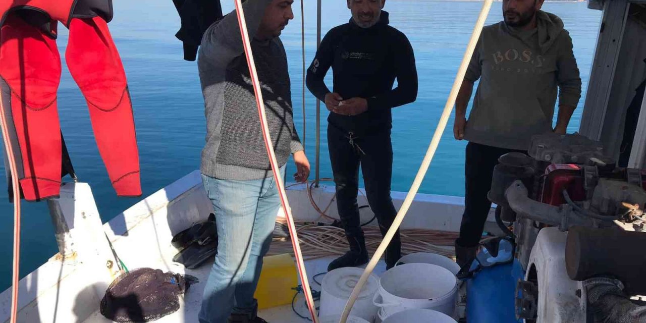 Didim’de balıkçılar önce denetlendi, sonra bilgilendirildi