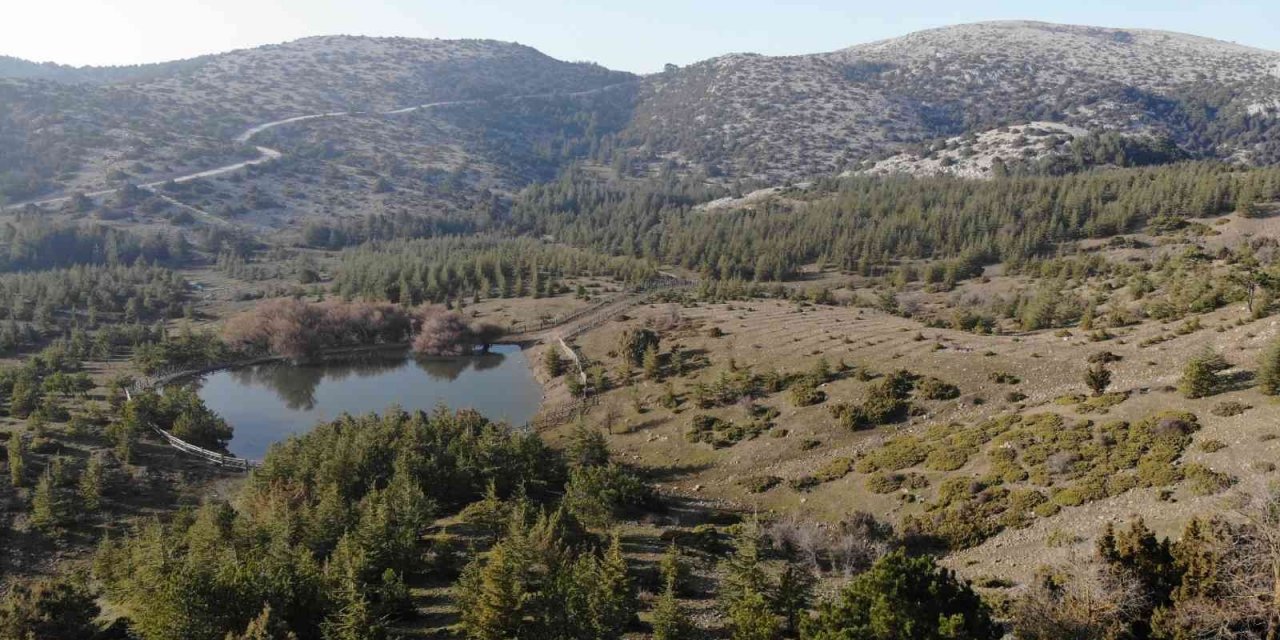 Geçen yıl karla kaplanan Spil, bu yıl aynı gün kara hasret kaldı