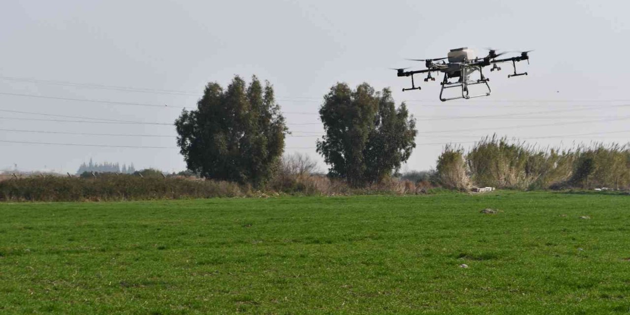 Söke Belediyesinin buğday arazisi dron ile gübrelendi