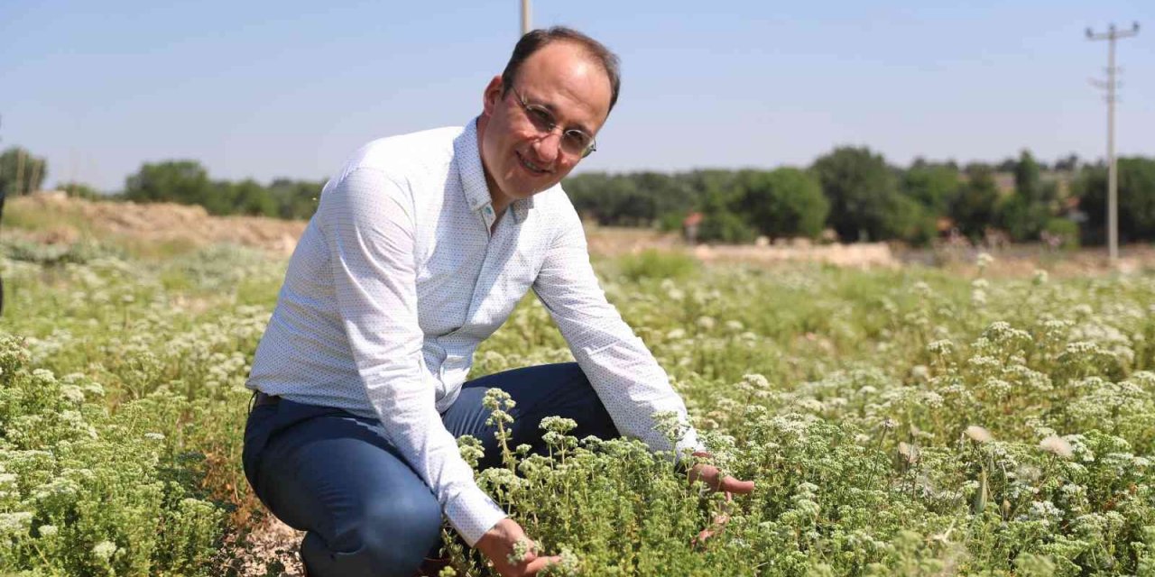Pamukkale Belediyesi, "Denizli kekiği" adını tescil ettirerek sektöre büyük destek sağladı