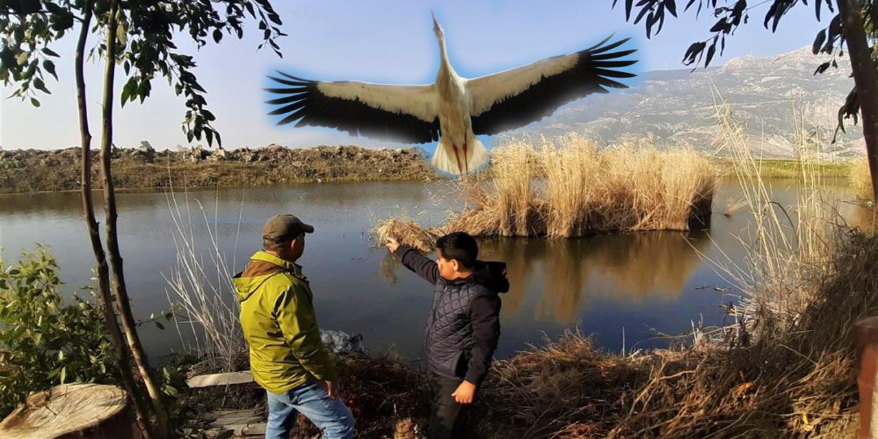 Kış gelmeden, leylekler geldi