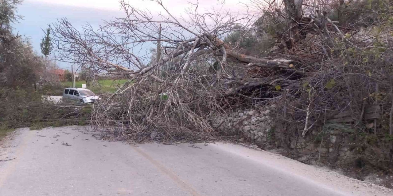Seydikemer’de fırtına etkili oldu