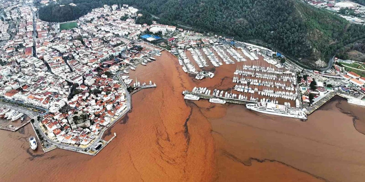 Denizin rengi değişti