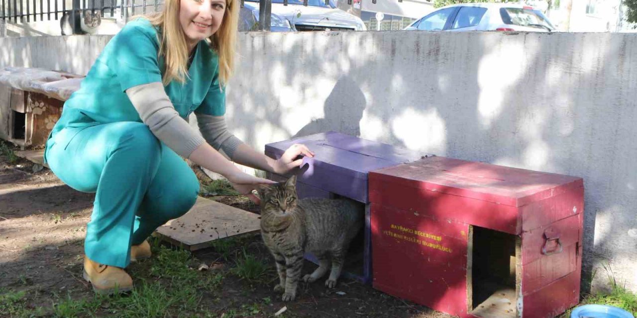 Bayraklı Belediyesi can dostları unutmadı