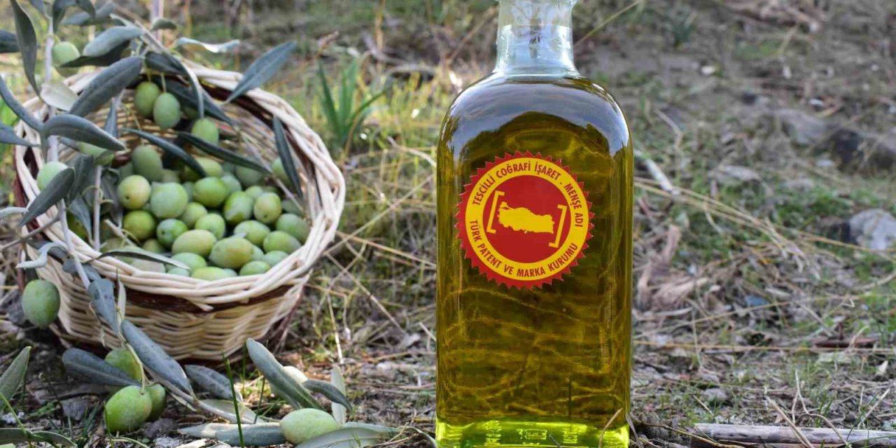 Aydın Ticaret Borsası, Coğrafi İşaret Tescilli Aydın Memecik Zeytinyağını Gaziantep’te tanıtacak