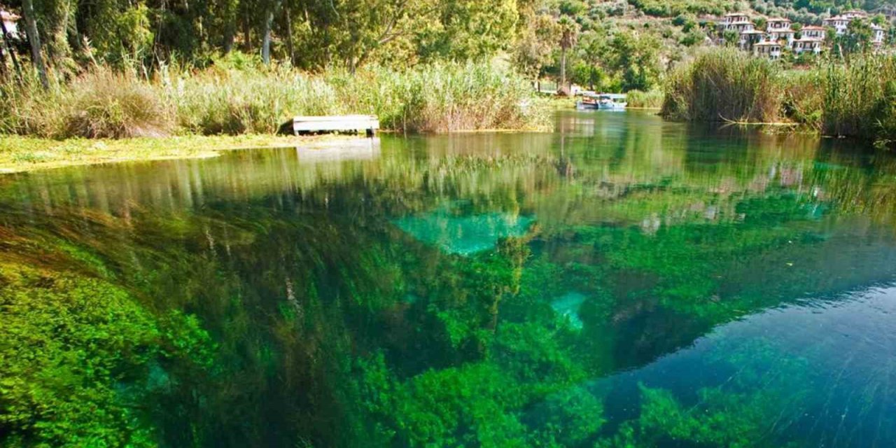 Dünyadaki sulak alanların yüzde 35’i 50 yılda yok oldu
