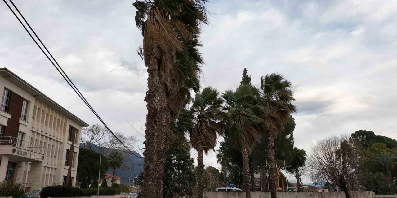 Köyceğiz’de rüzgar ve fırtına etkisini sürdürüyor