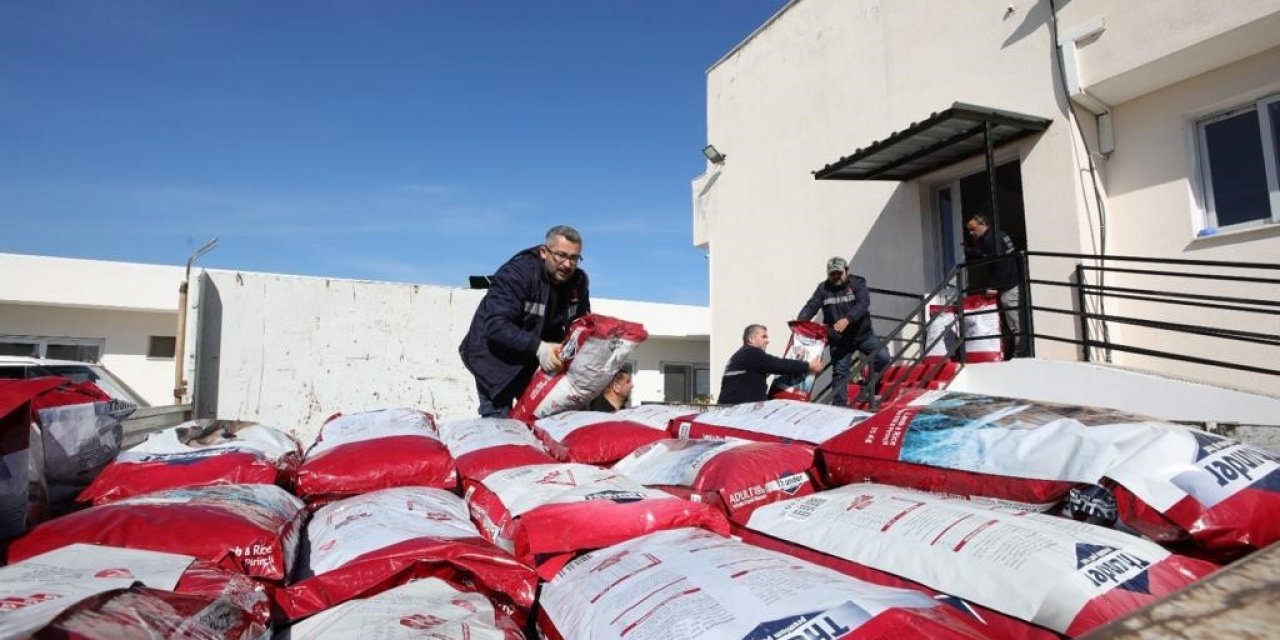 Bayraklı Belediyesi’nden deprem mağduru can dostlara mama desteği