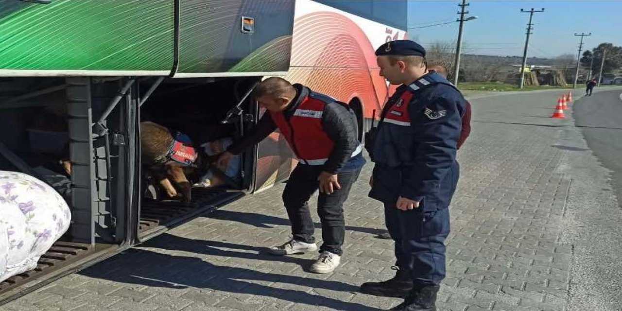 Yolcu otobüsünde uyuşturucu ile yakalandılar
