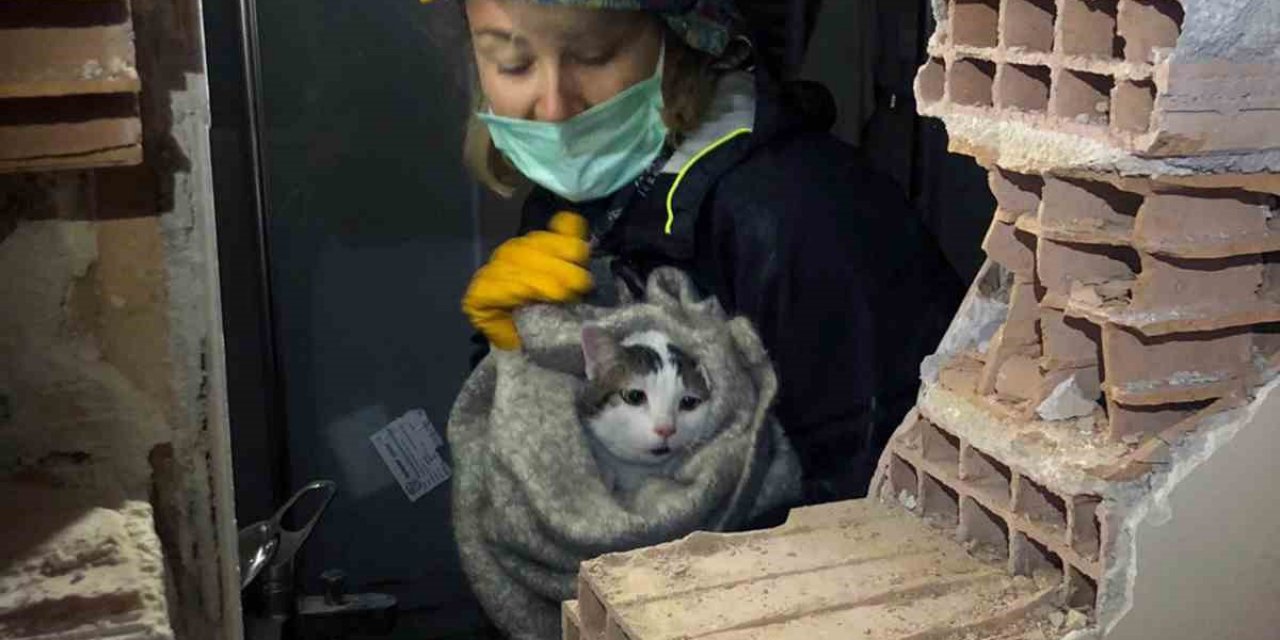 MAKE Marmaris ekibi enkaza girip yaralı kediyi kurtardı