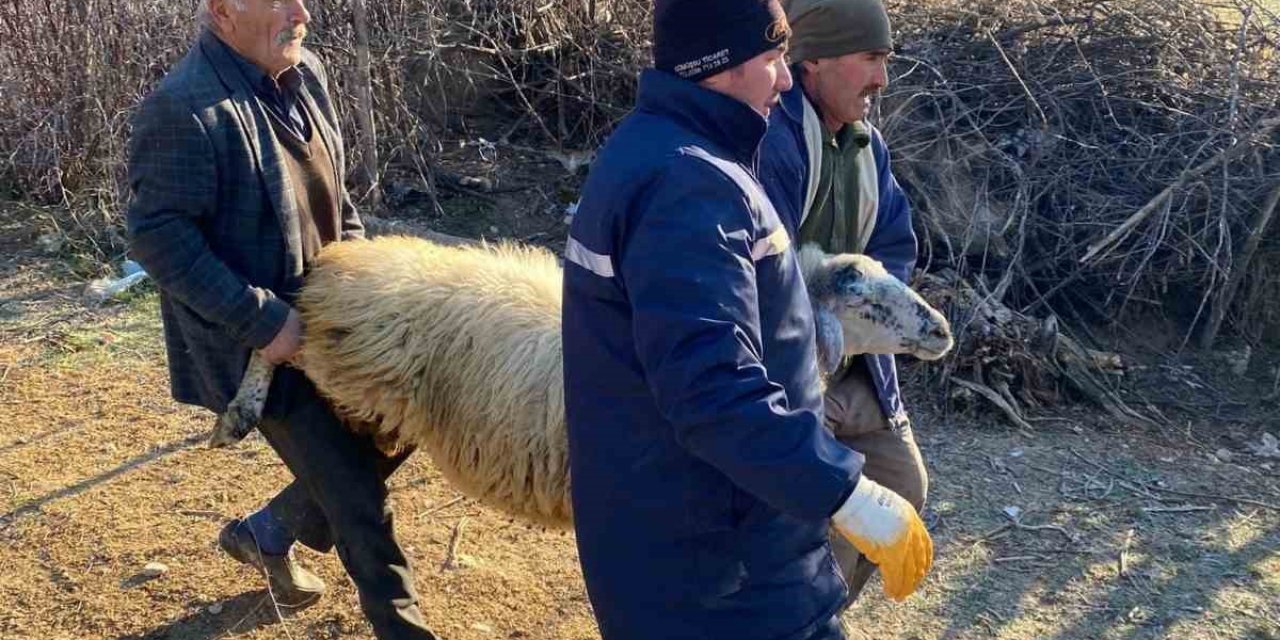 Deprem bölgesi için hayvan bağışladılar