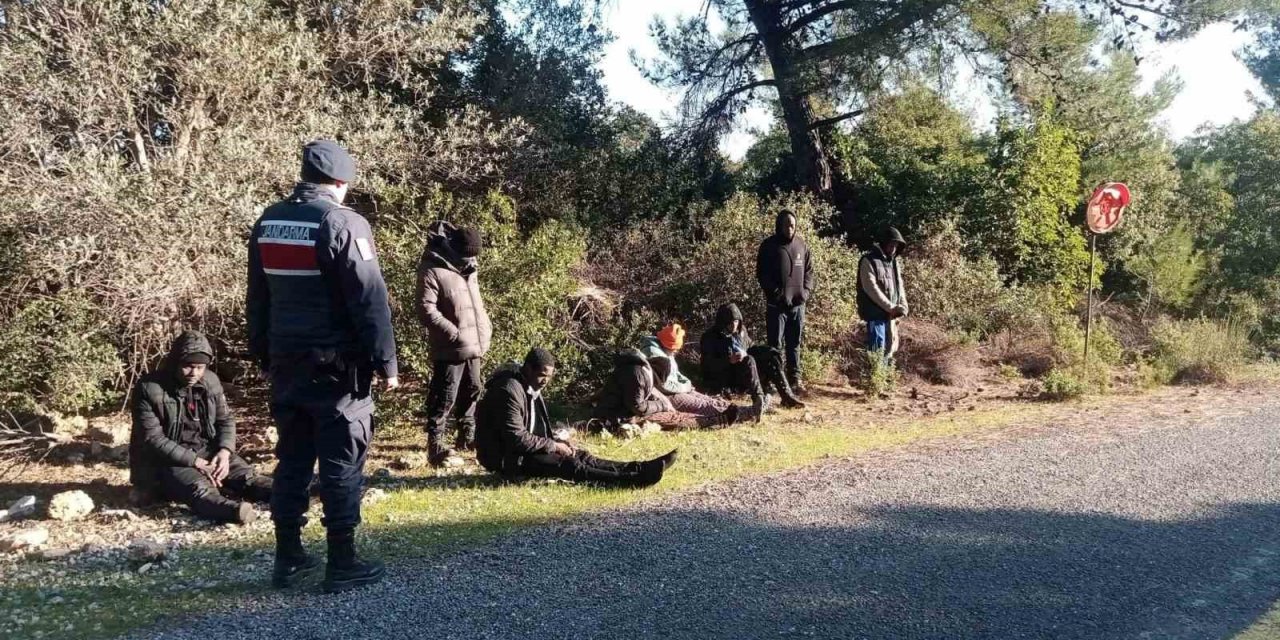 Jandarma düzensiz göçmenleri sazlık alanda yakaladı
