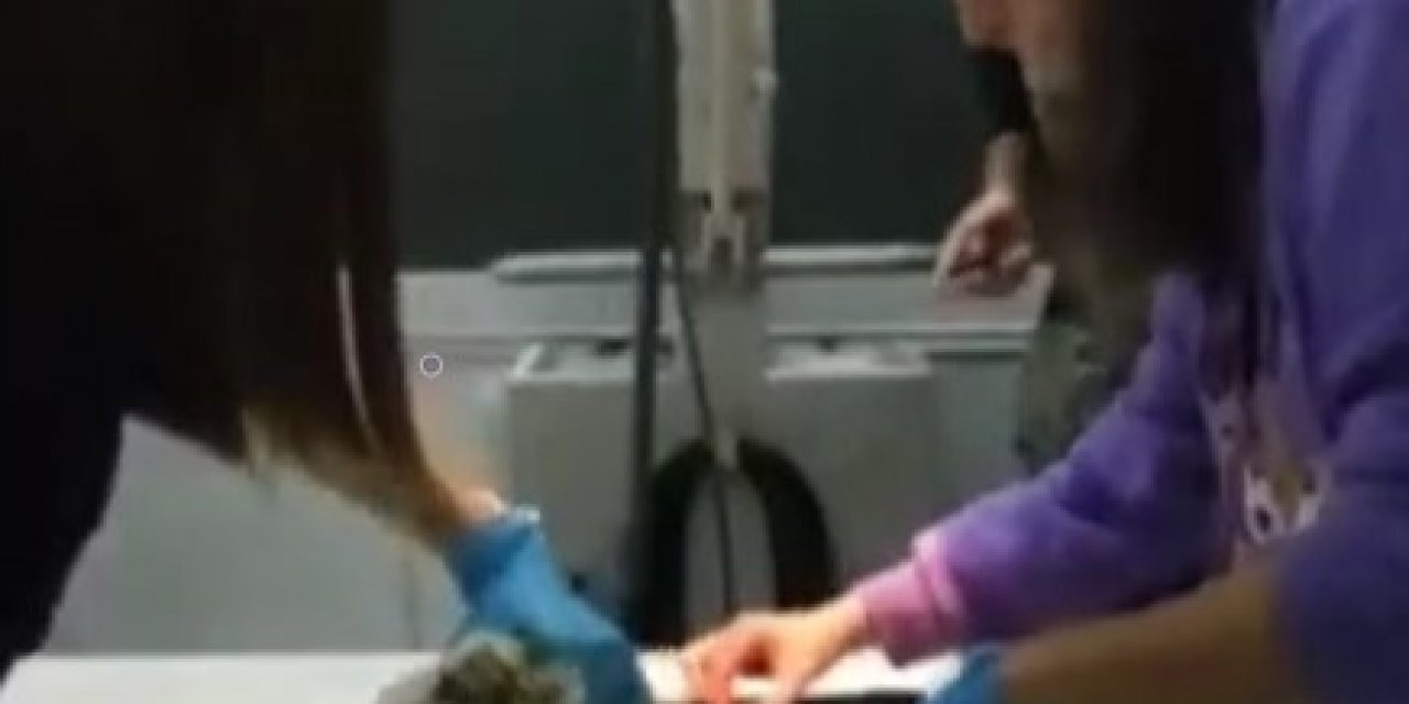 Didim’de depremden kurtulan hayvanlar için dayanışma örneği sergilendi